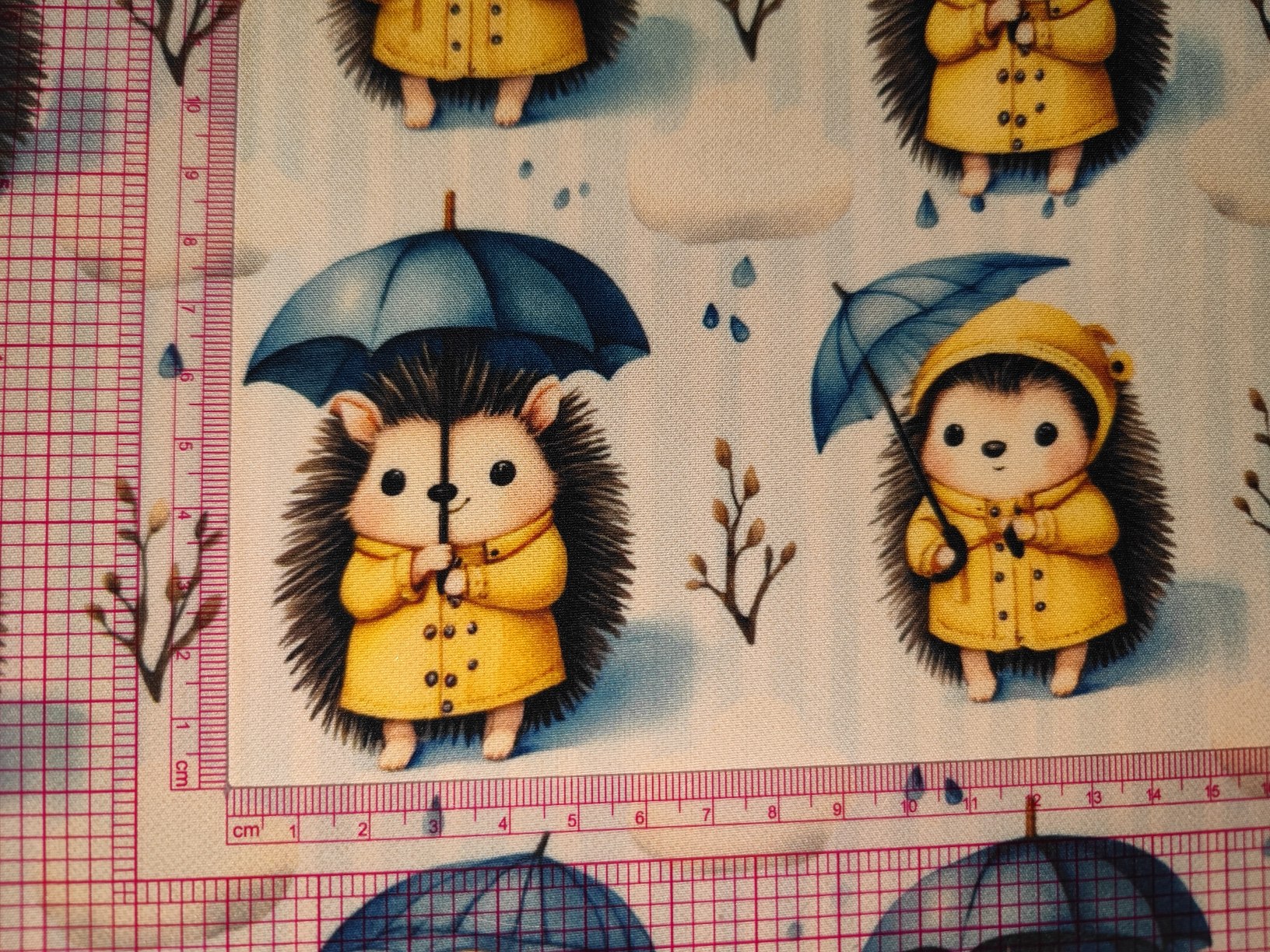 Sünis softshell - Image 4